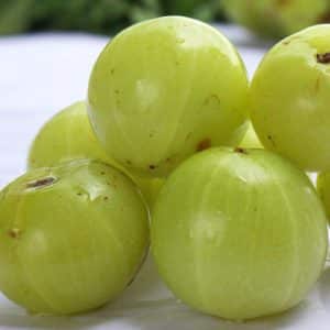 amla| khatta amla| food from school days|summer| amla