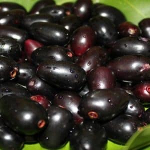 jamun| food| school days| fruits| memory lane| school fruit
