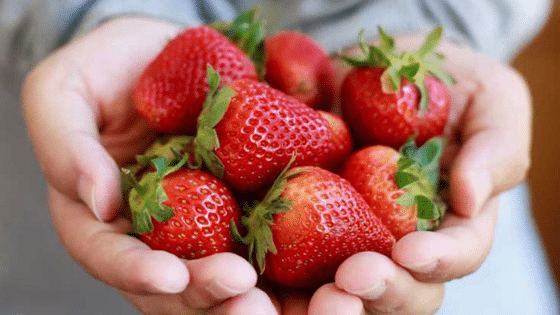 Foods Resist Gaining Weight