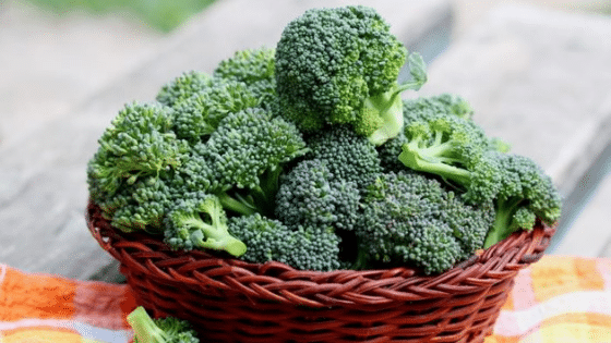 Foods Resist Gaining Weight