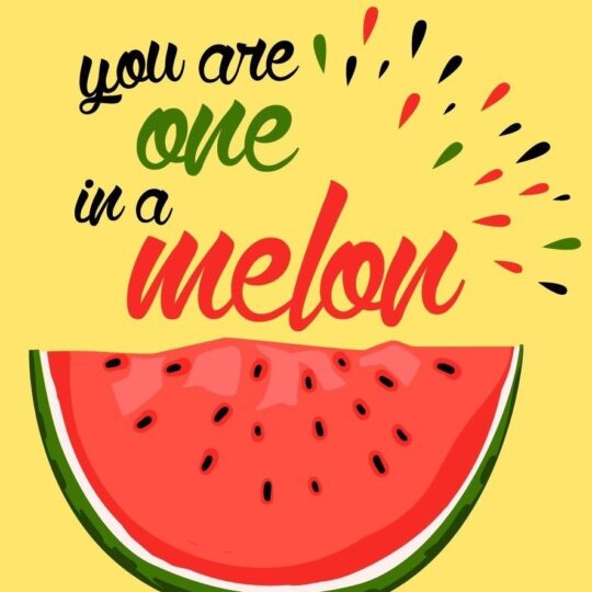 our desired food puns| Melon-choly