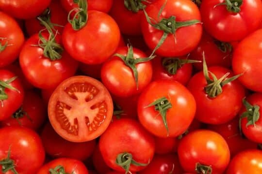 Immunity-boosting fruits and vegetables| Tomatoes